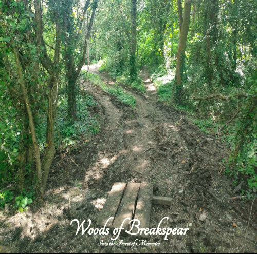 Woods Of Breakspear : Into the Forest of Memories Woods Of Breakspear : Into the Forest of Memories